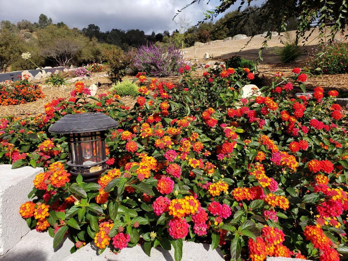 Hotel Yosemite Foothill Retreat Coarsegold Esterno foto
