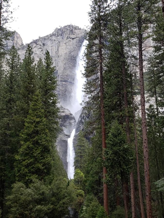 Hotel Yosemite Foothill Retreat Coarsegold Esterno foto