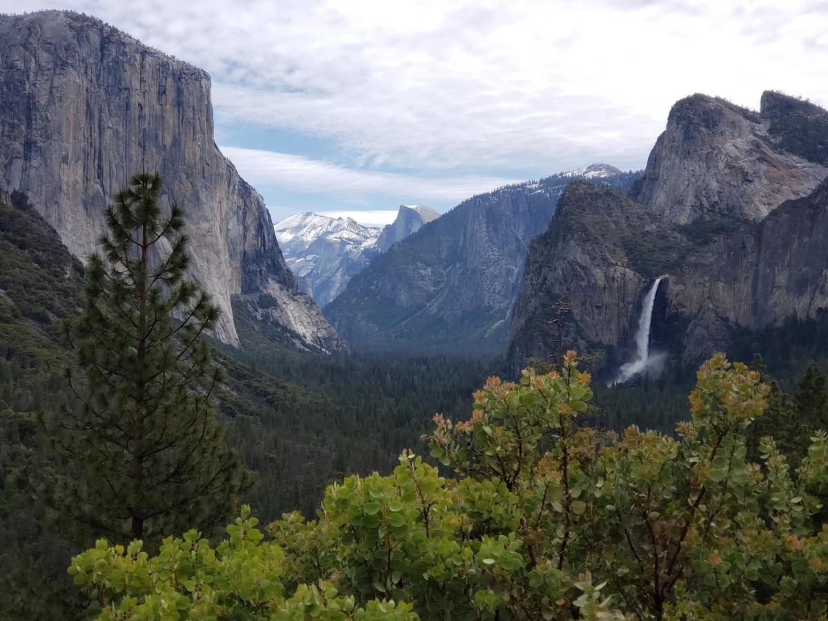 Hotel Yosemite Foothill Retreat Coarsegold Esterno foto