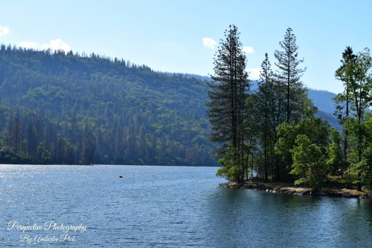 Hotel Yosemite Foothill Retreat Coarsegold Esterno foto